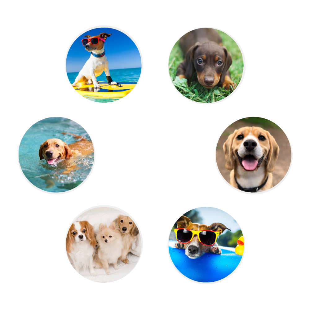 Posavasos MDF y Corcho 🟤x6